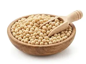 Soybean Meal (Feed Grade)