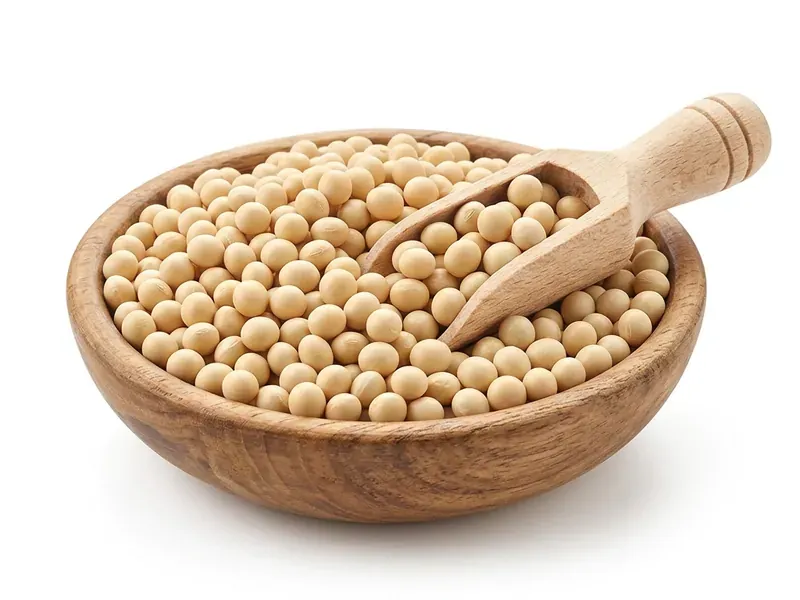 Soybean Meal (Feed Grade)